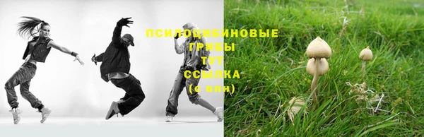метадон Алексеевка
