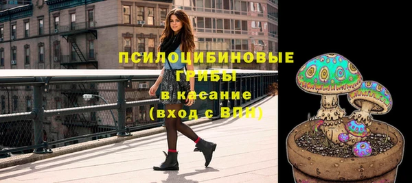 а пвп мука Аркадак