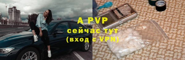 дмт Сосновый Бор